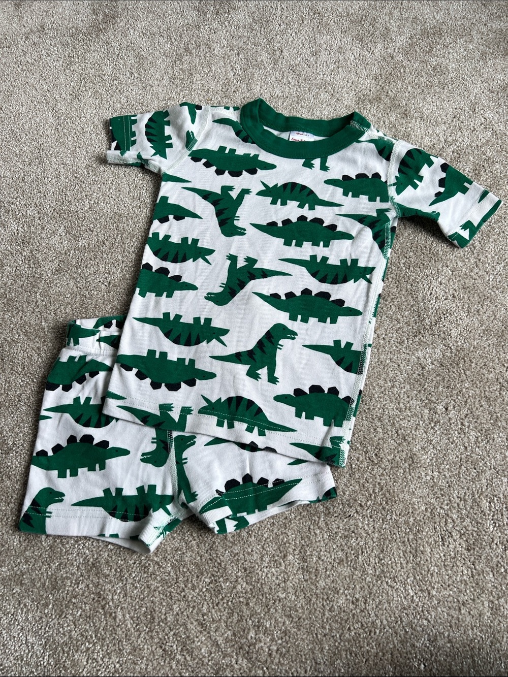 Hanna Andersson White Pajama Set with Green Dinosaur Print